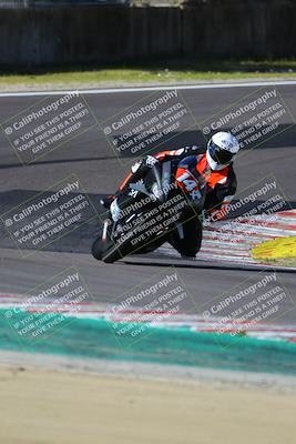 media/Mar-17-2024-Fastrack Riders (Sun) [[c7d6f8c14c]]/Level 3/Turn 6/